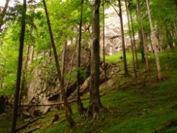1913-07-05_Regina-F-Rau_Sonnenspitz_Kotalm-Jachenau (086).JPG